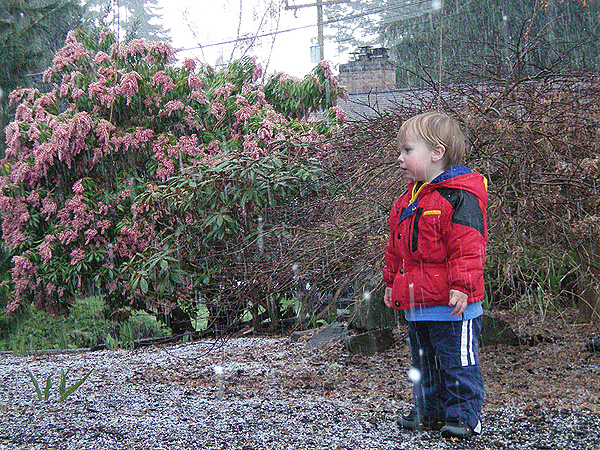 alex-snow2