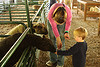The Farm