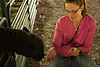 The Farm