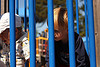 The Park